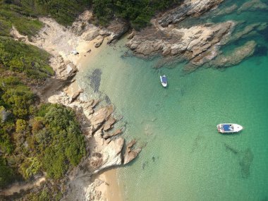 Güzel bir kuşun deniz manzaralı görüntüsü