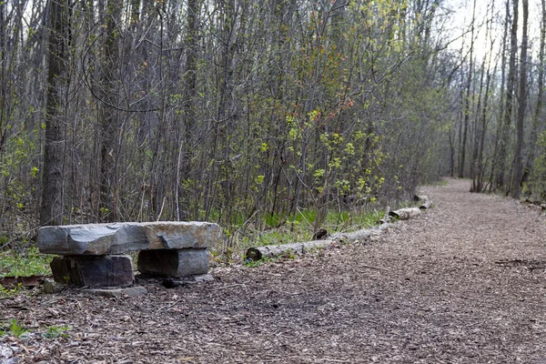 Eine Vertikale Aufnahme Einer Steinernen Bank Auf Einem Waldweg — Stockfoto