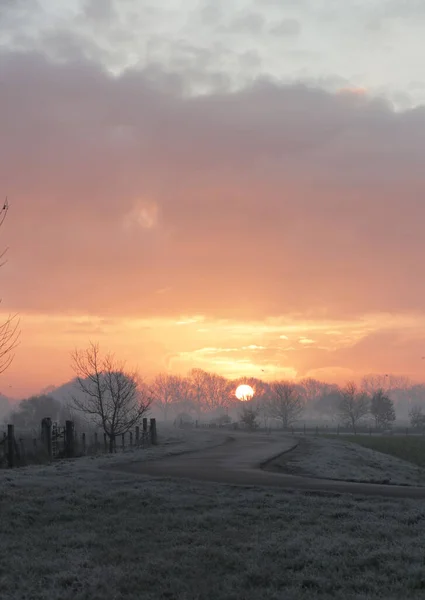 オランダの霜の多いフィールド上の霧の朝の風光明媚な日の出の垂直ショット — ストック写真