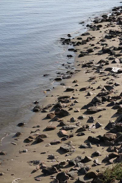 Πέτρες Και Βράχια Στην Ακτή Δίπλα Στη Θάλασσα — Φωτογραφία Αρχείου