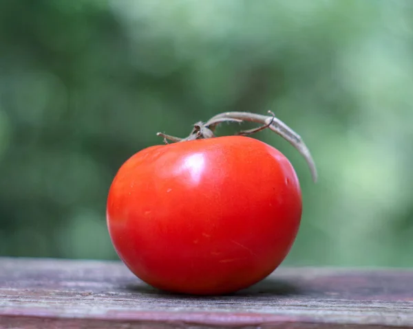 Närbild Ljus Saftig Röd Tomat Träyta Mot Suddig Grön Bakgrund — Stockfoto