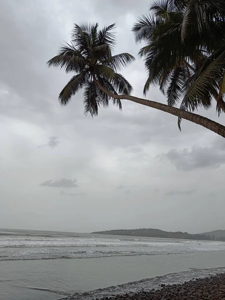 Eine Vertikale Aufnahme Von Palmen Einem Schönen Strand Einem Bewölkten — Stockfoto