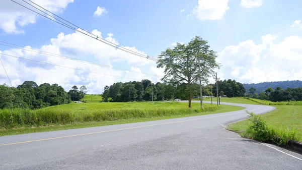 Uma Vista Panorâmica Uma Estrada Asfalto Vazia Contra Prado Verde — Fotografia de Stock