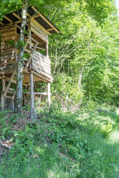 Vertical Shot Wooden Treehouse Green Park — Stock Photo, Image