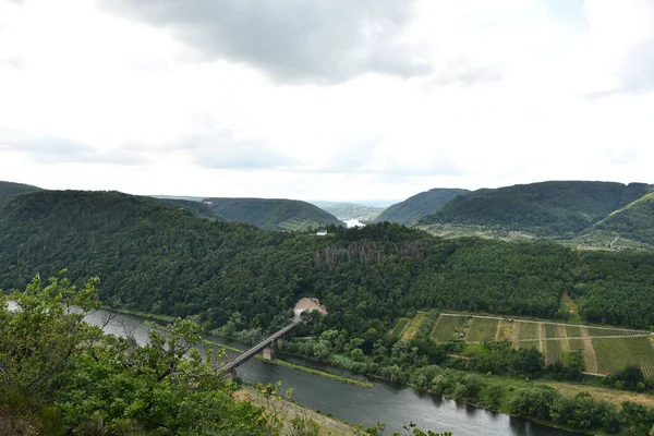 Pohled Ptačí Perspektivy Most Moselské Smyčce Obklopený Zelení Vinicemi Německu — Stock fotografie