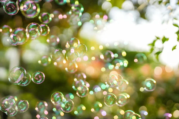 Primer Plano Burbujas Jabón Sobre Fondo Verde Naturaleza — Foto de Stock