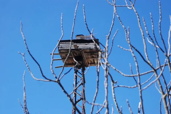 Una Casa Pájaros Parte Superior Una Estructura —  Fotos de Stock