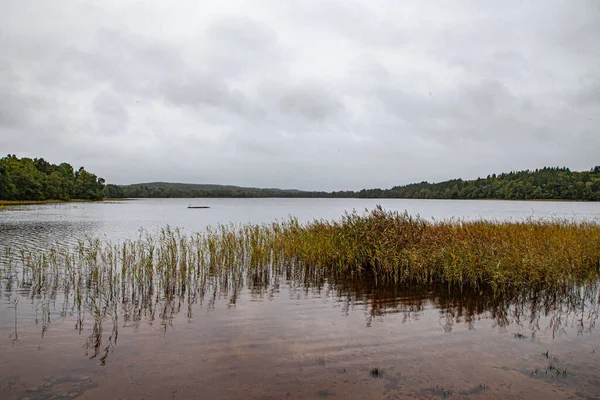 Una Vista Lago Poco Profundo Con Hierba Seca Día Nublado —  Fotos de Stock