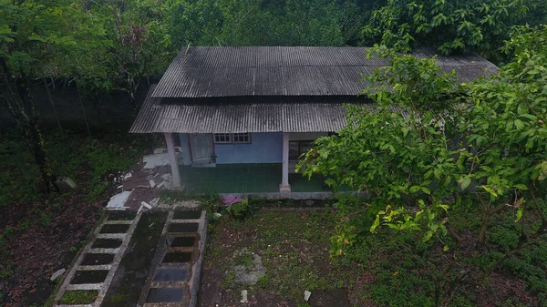 Ambiente Quintal Uma Casa Que Frondosa Confortável Para Viver — Fotografia de Stock