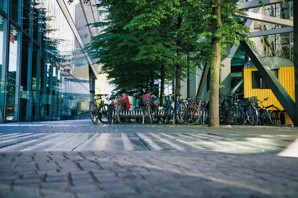 Una Bella Foto Gruppo Biciclette Parcheggiate Strada Sotto Albero Fronte — Foto Stock