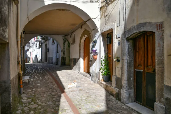 イタリア カンパニア地方の山の中の村ペチナの古い家の間の狭い通り — ストック写真