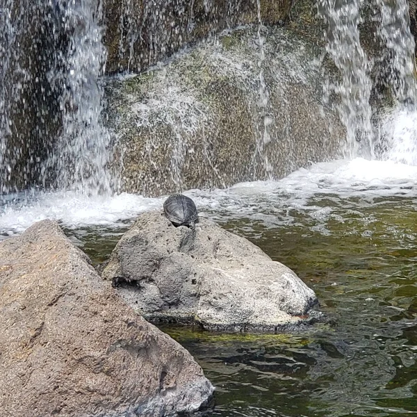 Tiro Close Uma Bela Cachoeira Fluindo Através Das Pedras — Fotografia de Stock