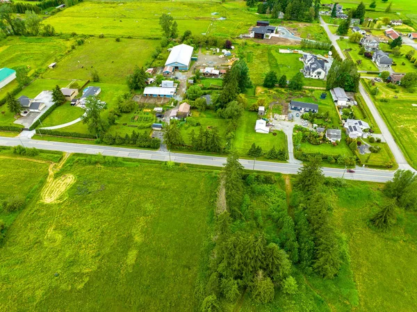 Una Vista Ángulo Alto Hermosas Casas Bosque —  Fotos de Stock