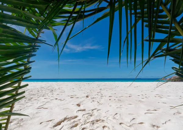 Uma Bela Vista Praia Petite Anse Ilha Digue Seychelles — Fotografia de Stock