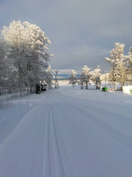 Vacker Vertikal Bild Snötäckt Väg — Stockfoto