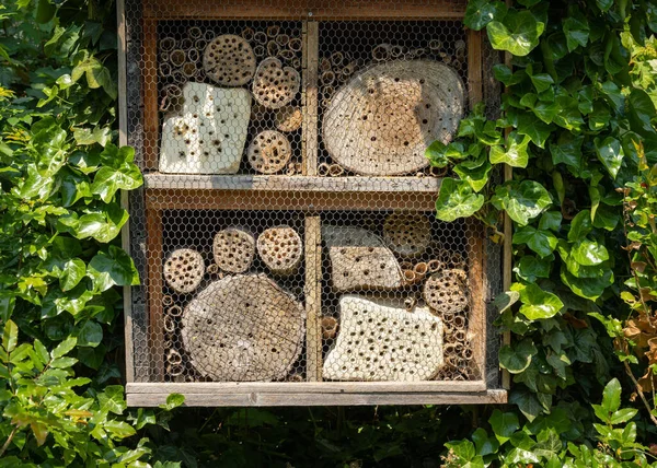 Houten Insectenhotel Tuin Omringd Door Planten — Stockfoto