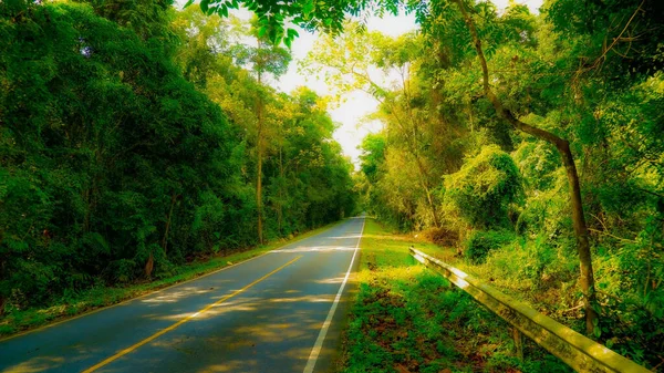 Uma Vista Panorâmica Uma Estrada Asfalto Vazia Entre Árvores Verdes — Fotografia de Stock