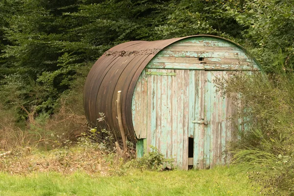 Yıpranmış 2. Dünya Savaşı, aşırı gelişmiş ormanlarda demir kemerli bir sığınaktı.