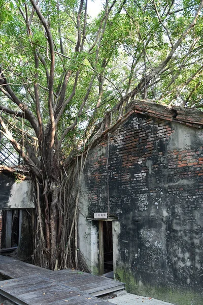 Tainan Tayvan Daki Anping Ağaç Evi Nin Dikey Görüntüsü — Stok fotoğraf