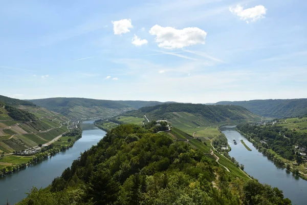 Vue Aérienne Boucle Moselle Entourée Verdure Vignobles Allemagne — Photo