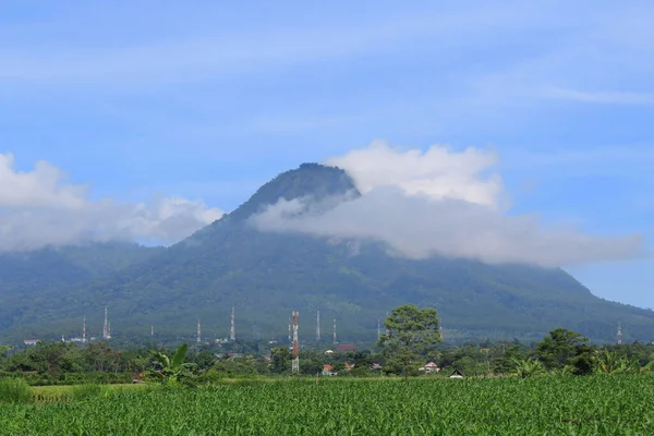 Sebuah Pemandangan Udara Dari Lahan Pertanian Latar Belakang Pegunungan Hijau — Stok Foto