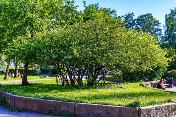 Algumas Árvores Fundo Pessoas Que Arrefecem Parque Luz Sol — Fotografia de Stock