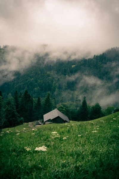 山の近くの美しい森の垂直ショット — ストック写真