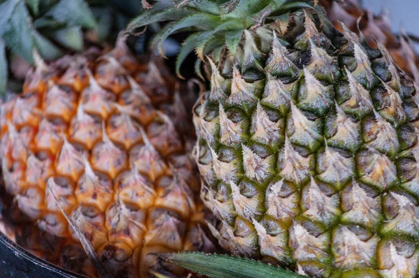 Closeup Shot Ripe Pineapples — Stock Photo, Image