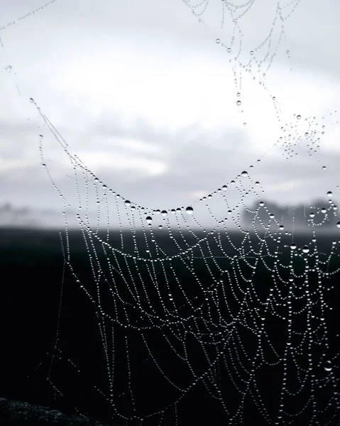 Gros Plan Vertical Une Toile Araignée Avec Des Gouttelettes Pluie — Photo