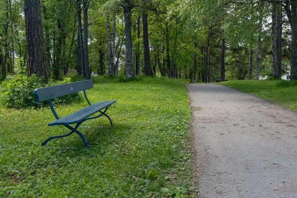 Een Blauwe Parkbank Bij Een Pad Met Een Bos Achtergrond — Stockfoto