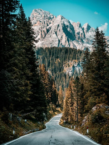 Uma Vista Panorâmica Estrada Sinuosa Através Floresta Outono Para Majestosas — Fotografia de Stock