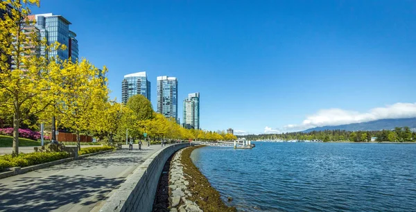 Modern Gökdelenler Yeşil Ağaçlarla Kömür Limanı Nın Büyüleyici Manzarası Vancouver — Stok fotoğraf