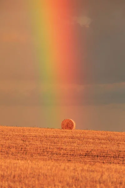 一道垂直拍摄的圆形山谷在田野中与彩虹相映成趣 葡萄牙Alentejo — 图库照片
