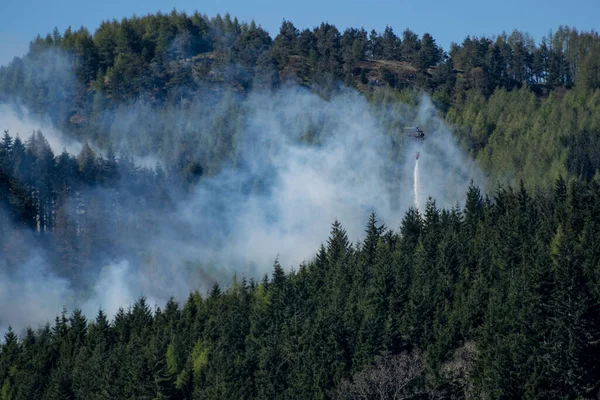 Brandbestrijdingshelikopter Laat Water Vallen Bosbrand — Stockfoto