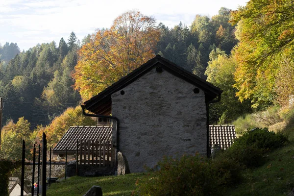 Uma Casa Rural Cercada Por Árvores Outono — Fotografia de Stock