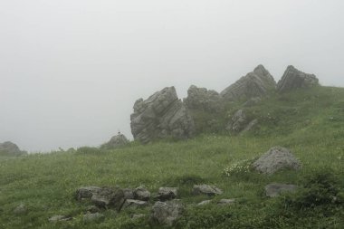 Slovenya 'nın Velika Planina kentindeki sisli bir günde, yeşil, cennet gibi bir tepede büyük bir taş..