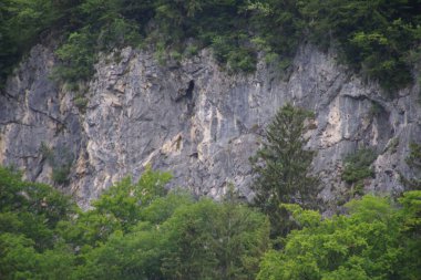 Zellerwand manzarası, Schleching yakınlarındaki Bavyera 'da çekici bir tırmanış alanı.