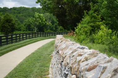 Duvardan aşağıya, patikaya bakıyorum.