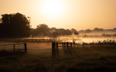 Gün batımında ağaçlarla çevrili sakin bir göl manzarası.