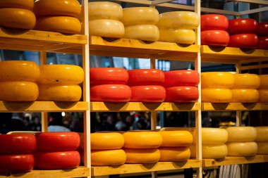 Portakal, sarı, kırmızı, raflardaki peynirler