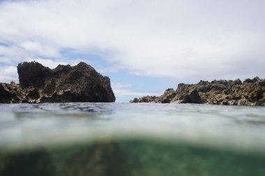 Su altı mercanlarının güzel bir görüntüsü ve arka planda kayalık bir oluşum.