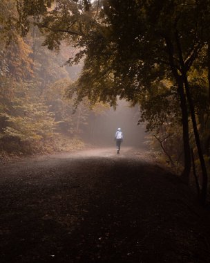 Wendover, İngiltere 'de ormanda tek başına yürüyen birinin dikey görüntüsü.