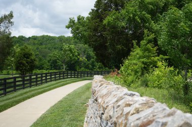 Duvardaki yürüyüş.