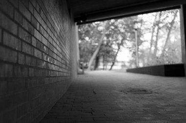 siyah ve beyaz köprü altında