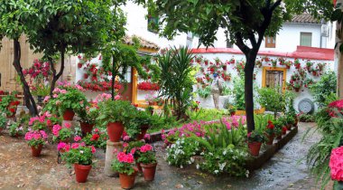 Cordoba flower festival in May 2022, or 