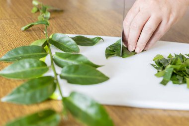Kesme tahtasında oraları doğrayan kadın eller. Pereskia aculeata Brezilya 'nın bazı bölgelerinde popüler bir sebzedir.