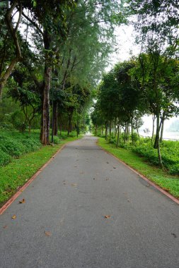 Yürüyen bir patikanın manzaralı bir görüntüsü