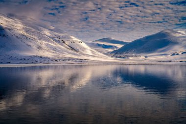KADAR SVALBARD NOROVASI 'NDA BİR GÖREVLİ BİR GERÇEK BİR GERÇEK GERÇEK SÜRÜNDÜRÜĞÜ-