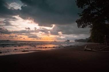 Gün batımında düşen ağaçların olduğu kayalık ve kumlu bir sahil, Uvita, Kosta Rika, renkli bulutlu bir gökyüzünün altında