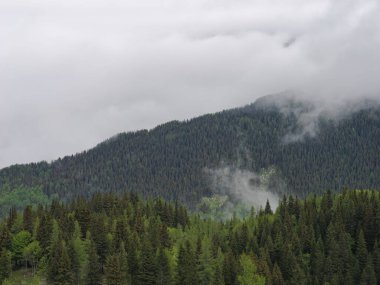 Slovenya, Velika Planina 'da sisle kaplanmış ormanlı dağların güzel bir görüntüsü